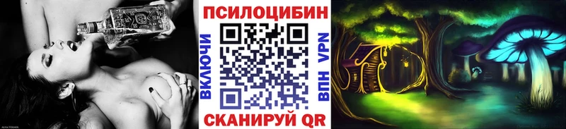 Галлюциногенные грибы Psilocybine cubensis  магазин продажи наркотиков  Северск 