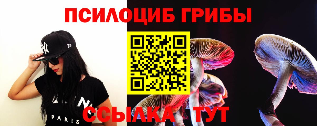 Codein Северск