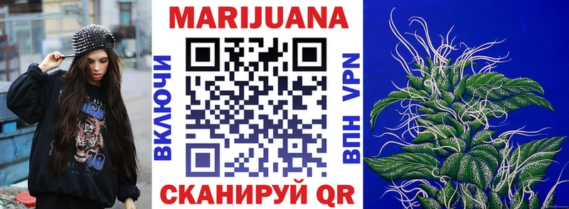 Канабис гибрид  Северск 