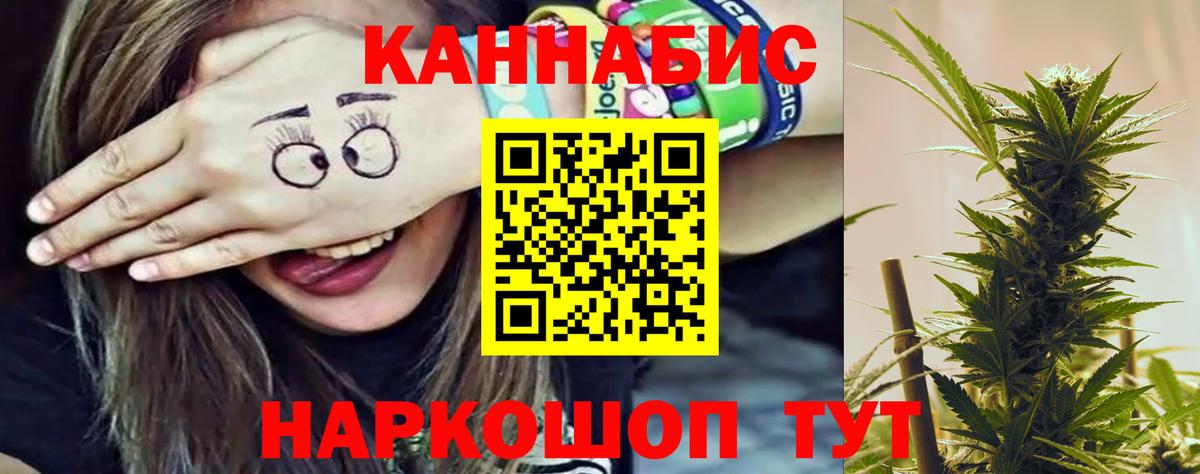Канабис конопля Северск